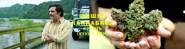 крисы Инта