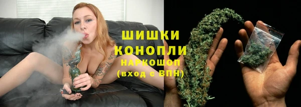 крисы Инта
