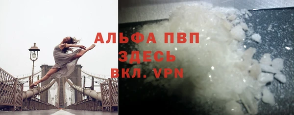 крисы Инта