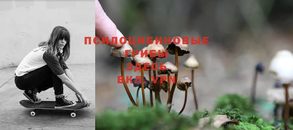 прущие крисы Инсар