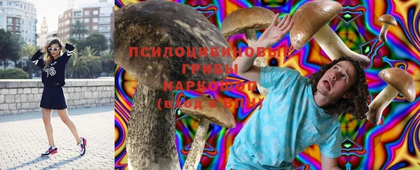 крисы Инта