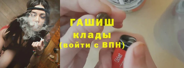 крисы Инта