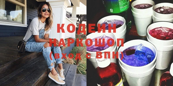 крисы Инта