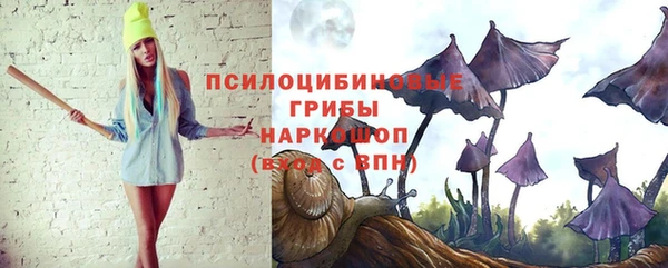 крисы Инта