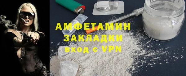 крисы Инта