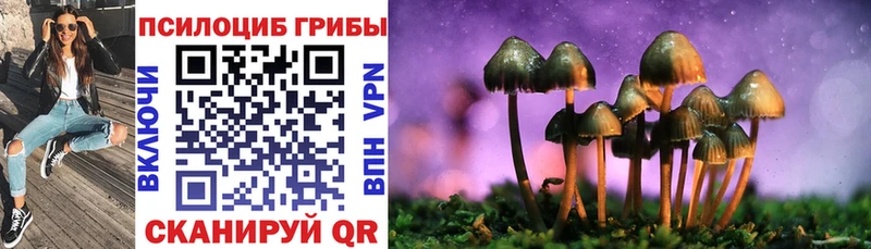 Псилоцибиновые грибы ЛСД  Купить где  Гурьевск 